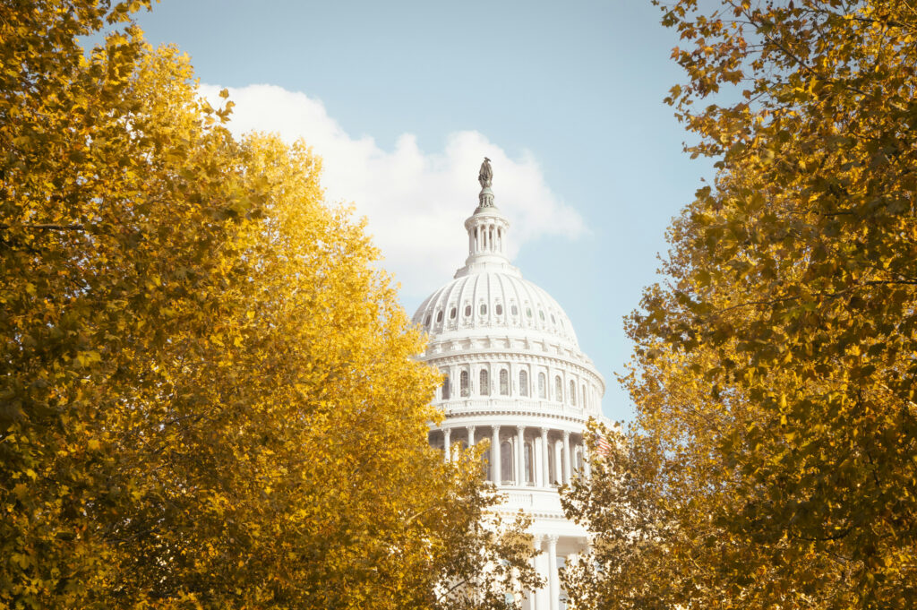 Picture of the U.S. Capitol behind trees.