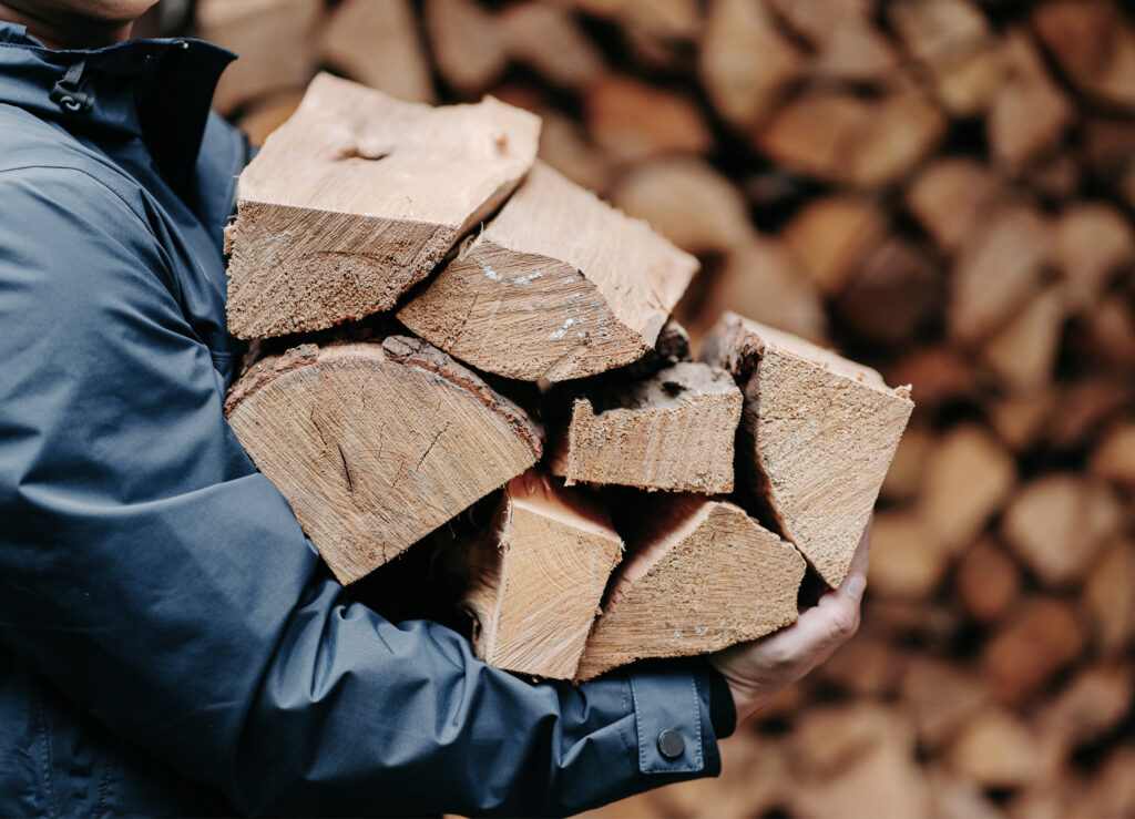 A person carrying firewood.