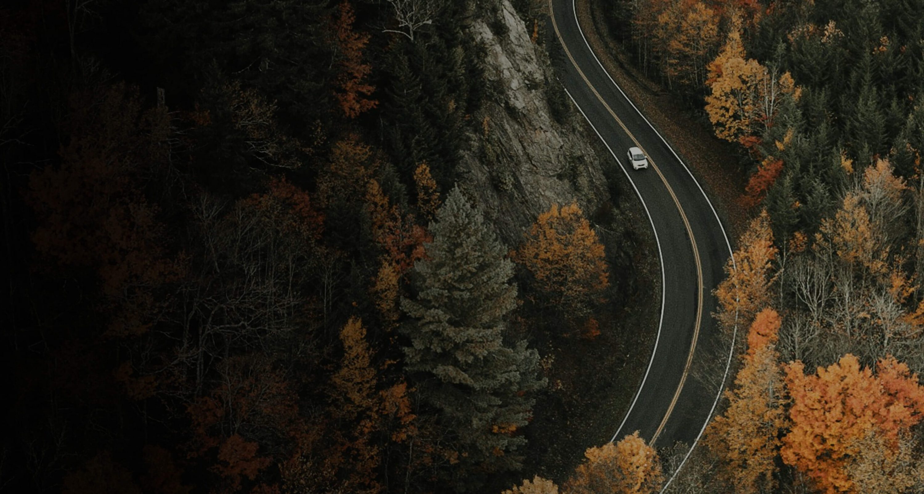 road-through-forest-in-the-fall road-through-forest-in-the-fall